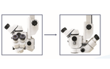 https://66vision.biz/wp-content/uploads/2025/04/assistant-microscope-adjustable.png