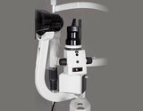 https://66vision.biz/wp-content/uploads/2025/04/5X-light-source.jpg