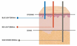 Diagram of skin layers with wavelengths of blue, red, and near infrared light.