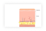 The video shows different LED lights range and penetration on the skin's surface. 
